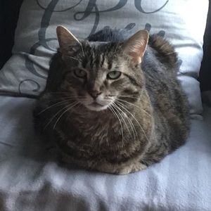 Meet your Posher, Christine